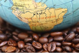 ถิ่นฐานการปลูกกาแฟของโลก การแบ่งพื้นที่เพาะปลูก รสชาติของเมล็ดกาแฟชนิดต่างๆของโลก